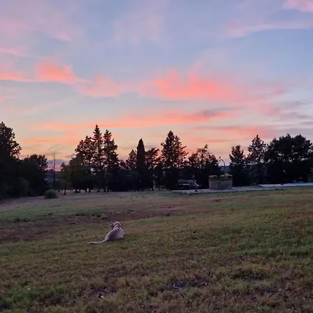 Napicola Alta * Paciano
