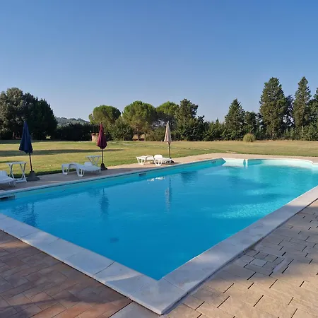 Napicola Alta Daire Paciano