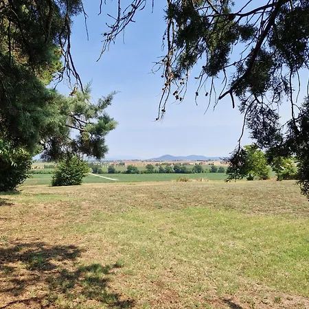Napicola Alta Paciano