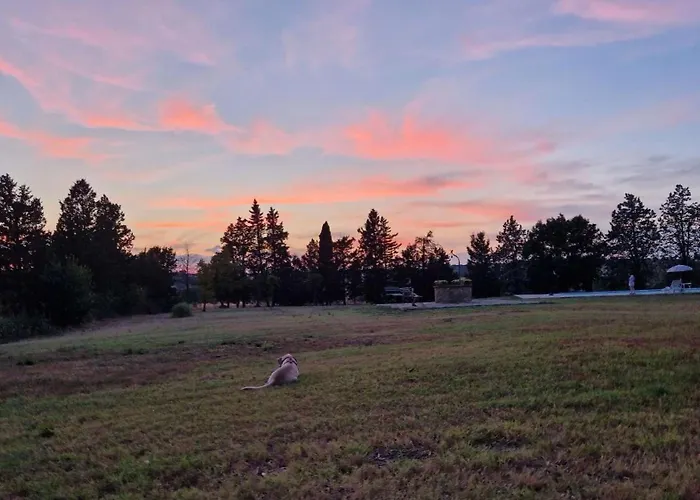 Napicola Alta * Paciano