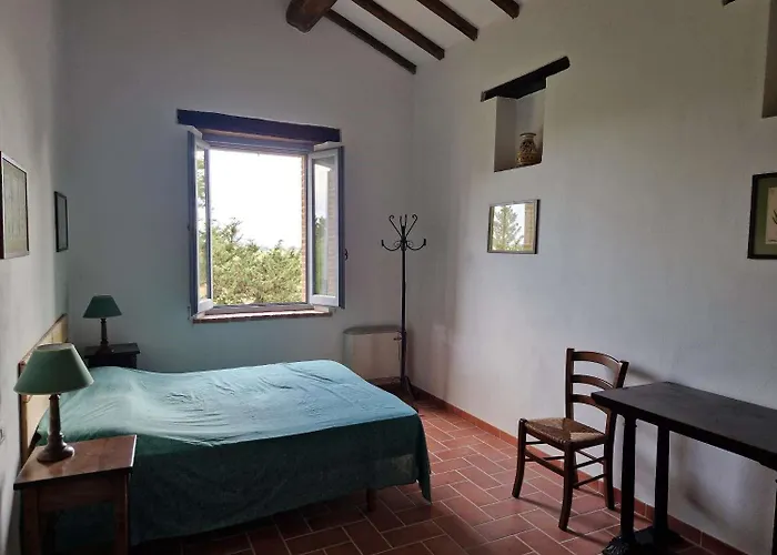 Napicola Alta * Paciano